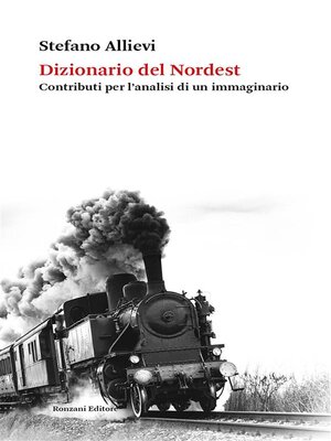 cover image of Dizionario del Nordest
